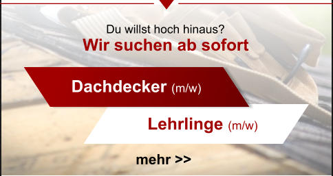 Wir suchen ab sofort             mehr >> Dachdecker (m/w) Lehrlinge (m/w) Du willst hoch hinaus?